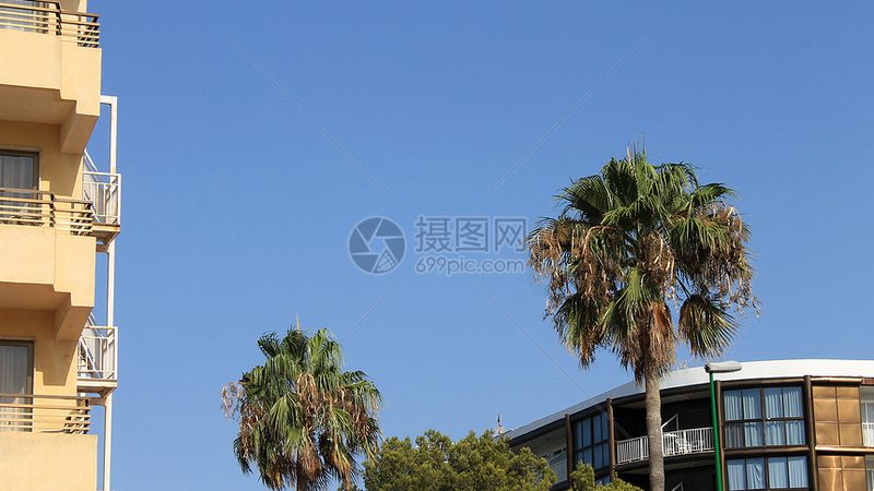 上海定制旅游，揭秘定制师背后的专业与匠心